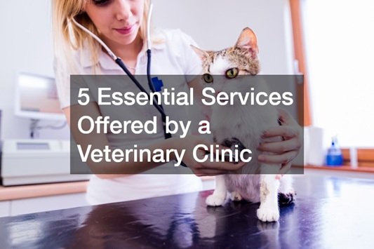 5 Services That Make General Veterinarians Indispensable
